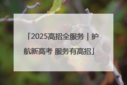 2025高招全服务｜护航新高考 服务有高招