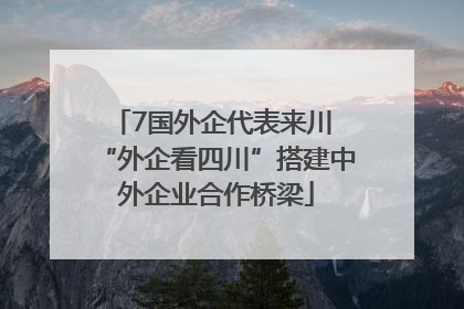 7国外企代表来川 “外企看四川”搭建中外企业合作桥梁