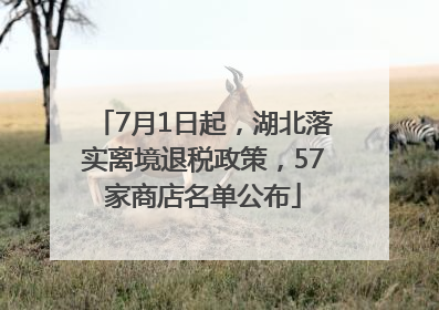 7月1日起，湖北落实离境退税政策，57家商店名单公布