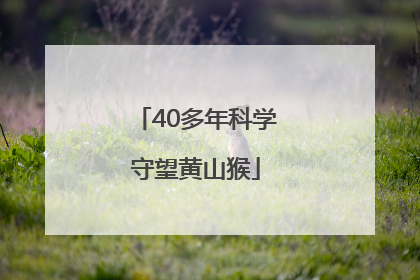 40多年科学守望黄山猴