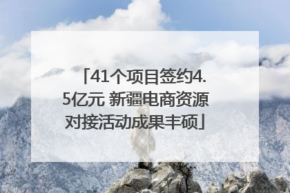 41个项目签约4.5亿元 新疆电商资源对接活动成果丰硕