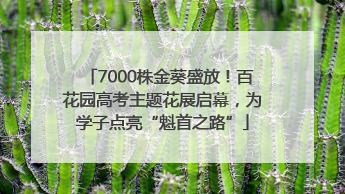 7000株金葵盛放！百花园高考主题花展启幕，为学子点亮“魁首之路”