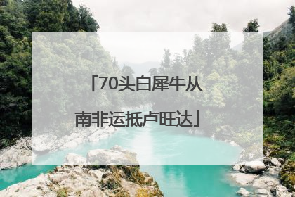 70头白犀牛从南非运抵卢旺达