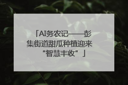 AI务农记——彭集街道甜瓜种植迎来“智慧丰收”