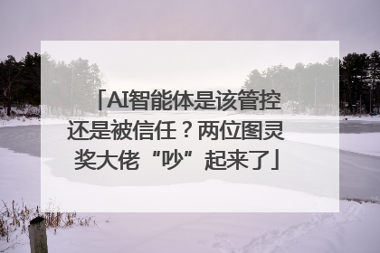 AI智能体是该管控还是被信任？两位图灵奖大佬“吵”起来了