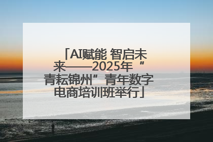 AI赋能 智启未来——2025年“青耘锦州”青年数字电商培训班举行