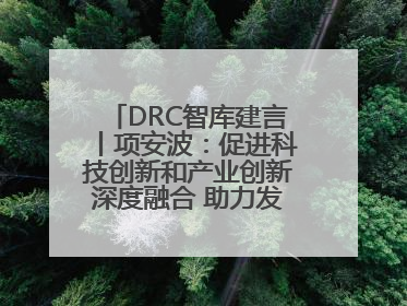 DRC智库建言丨项安波：促进科技创新和产业创新深度融合 助力发展新质生产力