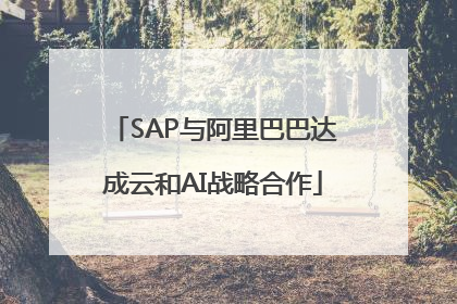 SAP与阿里巴巴达成云和AI战略合作