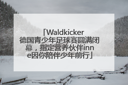 Waldkicker德国青少年足球赛圆满闭幕，指定营养伙伴inne因你陪伴少年前行